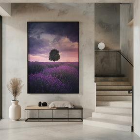 Lavender Fields, Isparta Poster