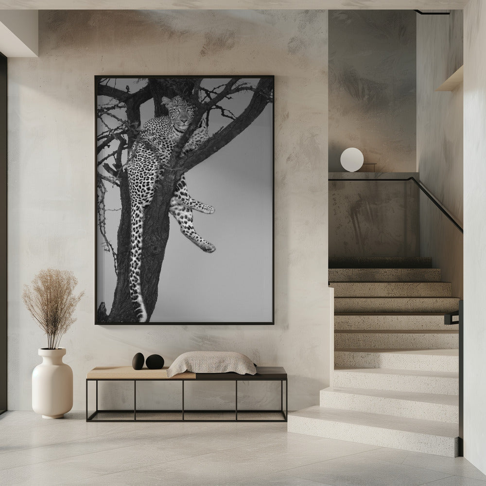 Rest On The Tree Poster