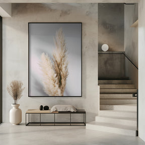 Pampas Grass Grey Poster