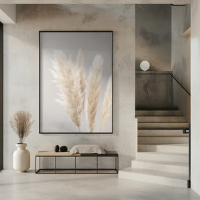 Pampas Grass Grey 02 Poster