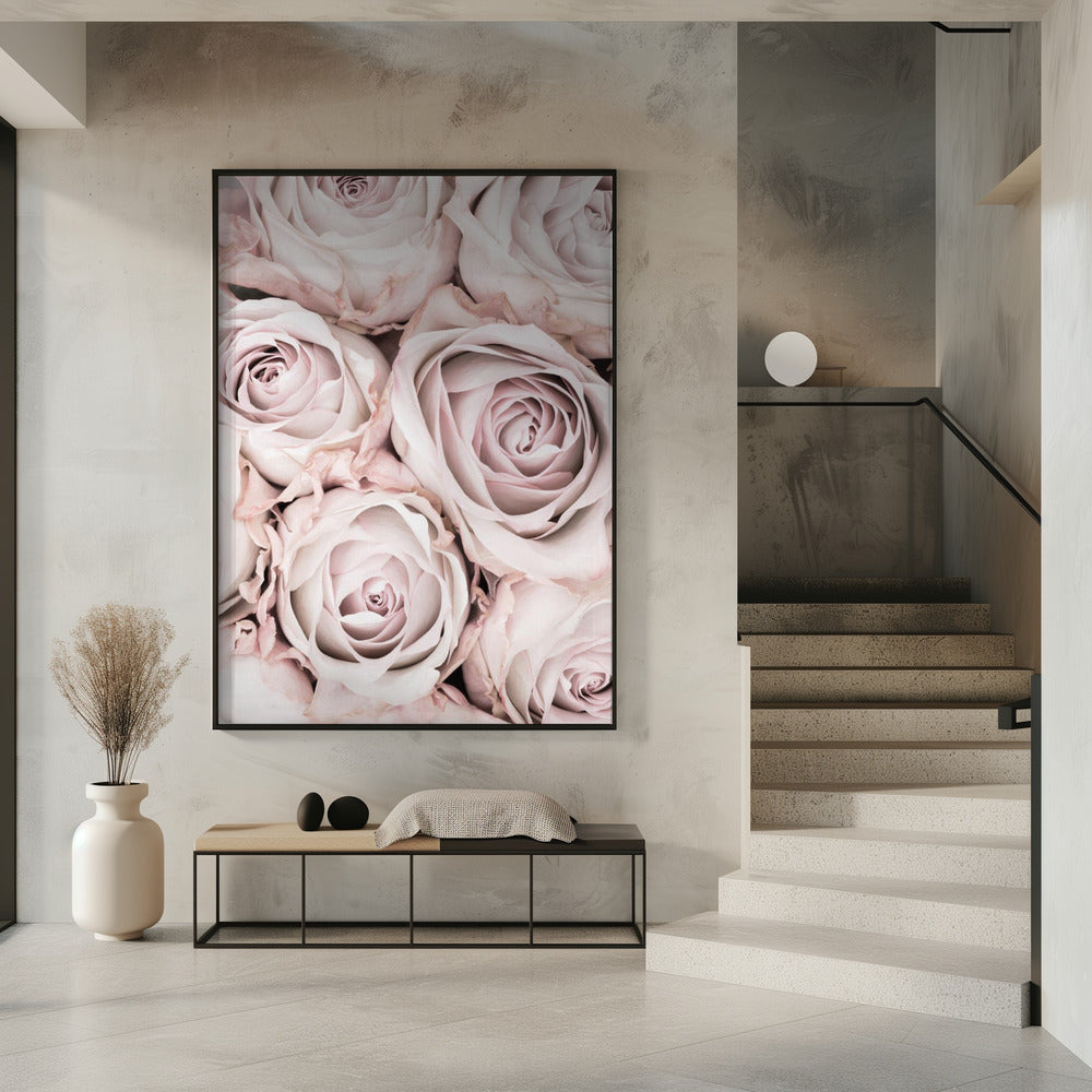 Pink Roses No 01 Poster