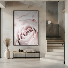 Pink Rose No 05 Poster