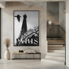 Paris Dove Poster