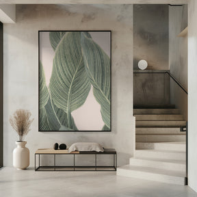 Calla Leaf Poster