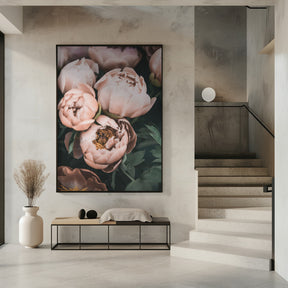 Coral Peonies Poster