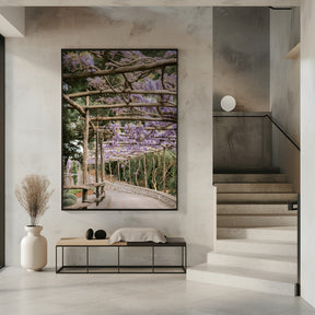 The Lavender Walkway Poster