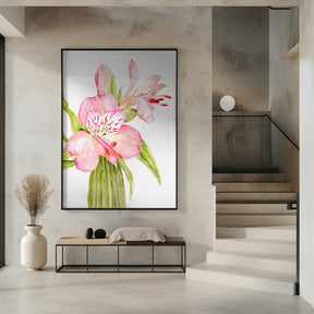 Pink watercolor alstroemeria Poster