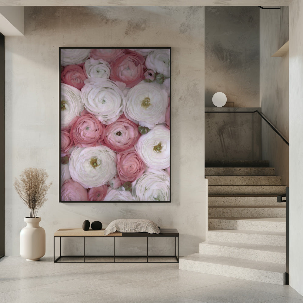 Scattered ranunculus in muted pink II Poster