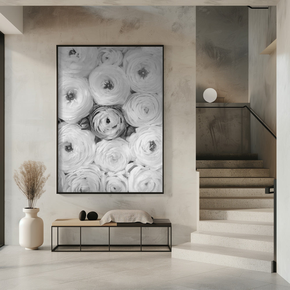 Singular ranunculus gray Poster