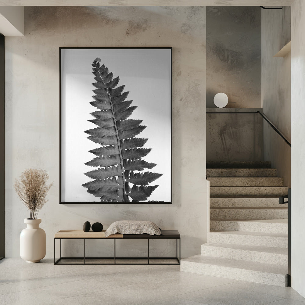 Gray fern leaf Poster