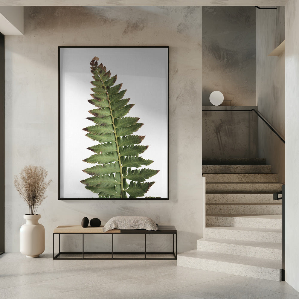 Green fern Poster