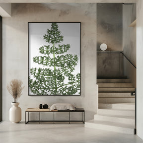 Green dainty leaves Poster