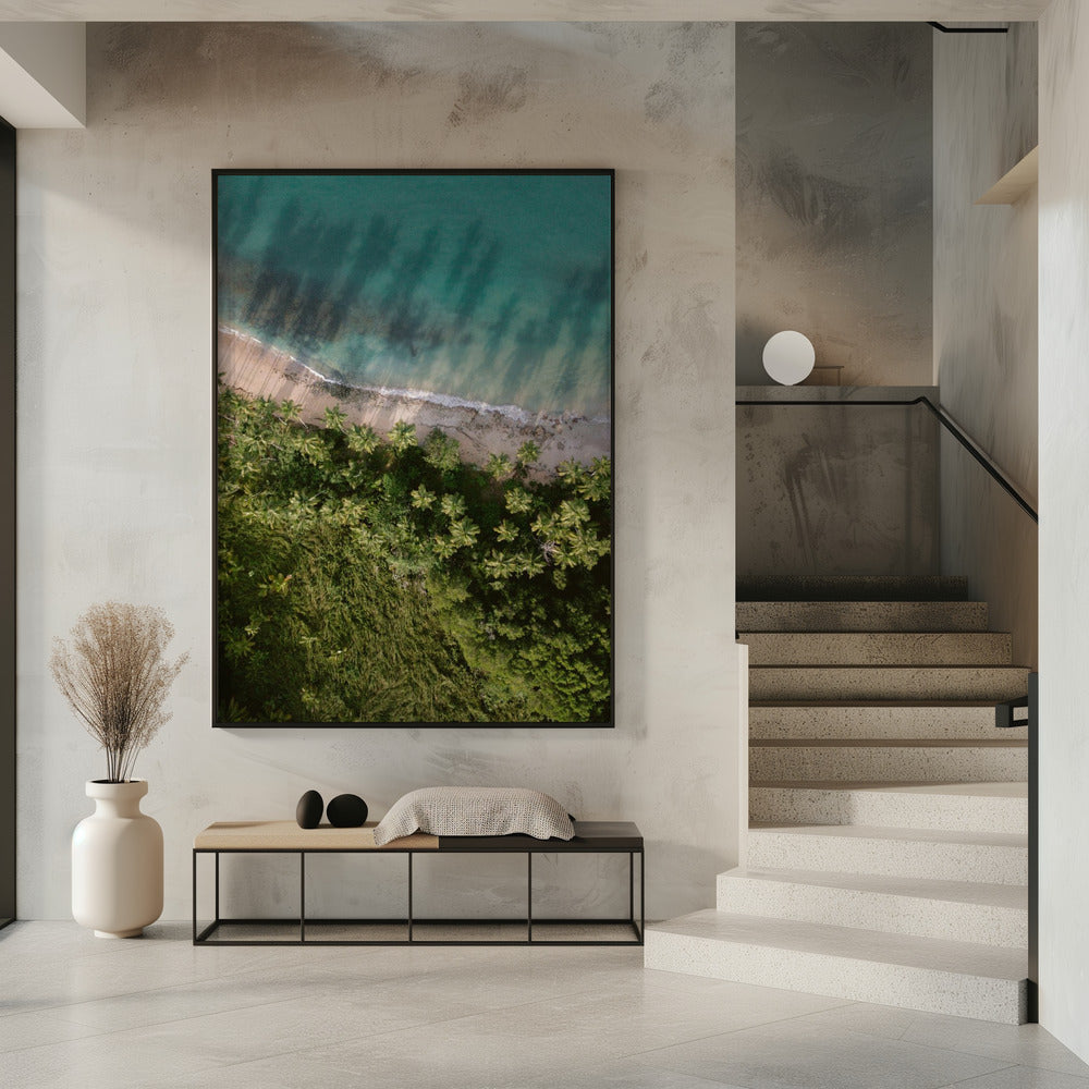 Palm Beach from Above Poster