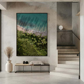 Palm Beach from Above Poster