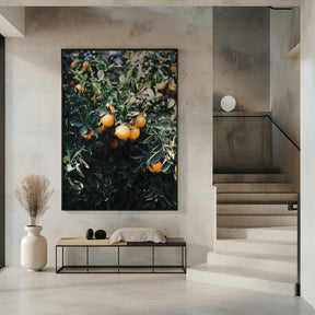 Marrakesh Oranges Poster