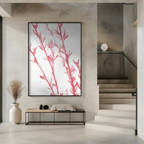 Pink dainty branch Poster