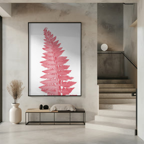 Pink fern leaf Poster