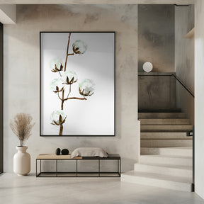 Watercolor cotton branch I Poster