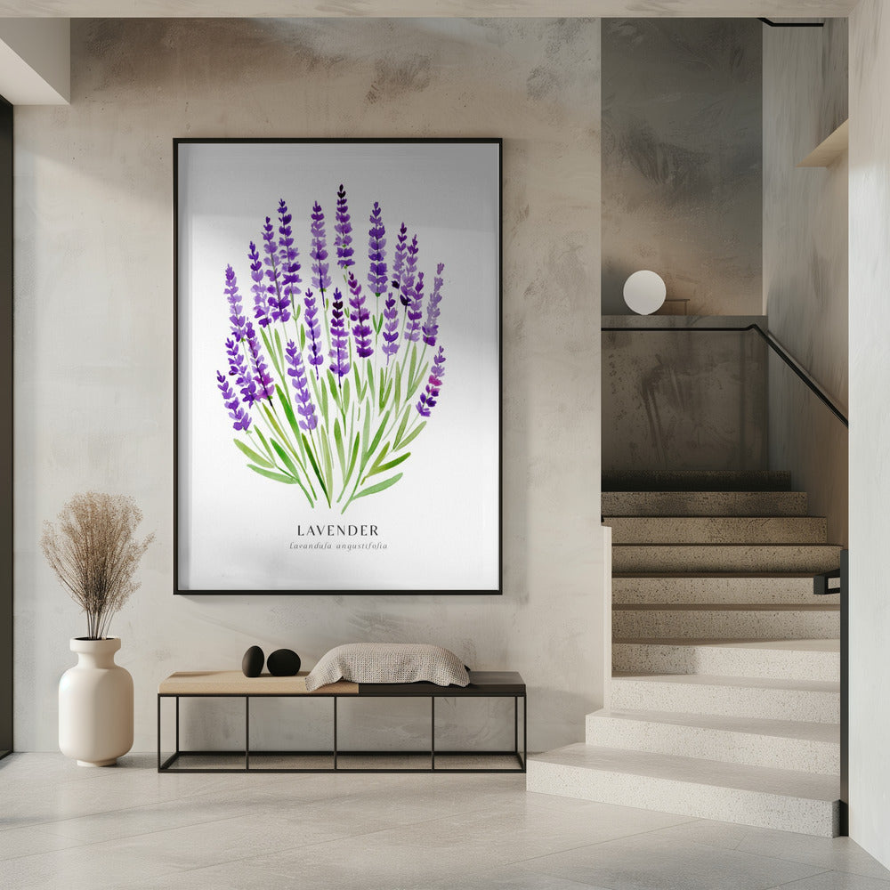 Lavender I Poster