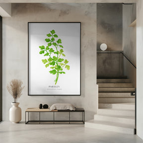 Parsley I Poster