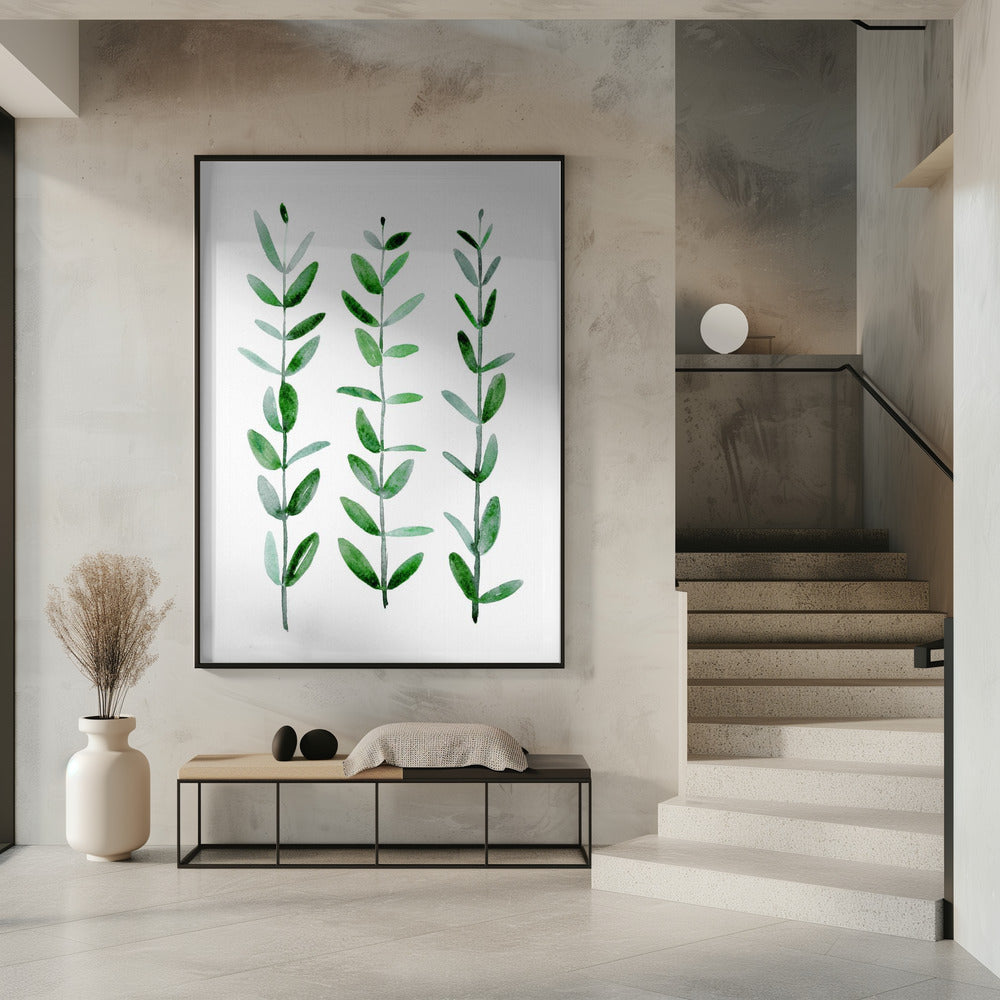 Watercolor eucalyptus parvifolia Poster