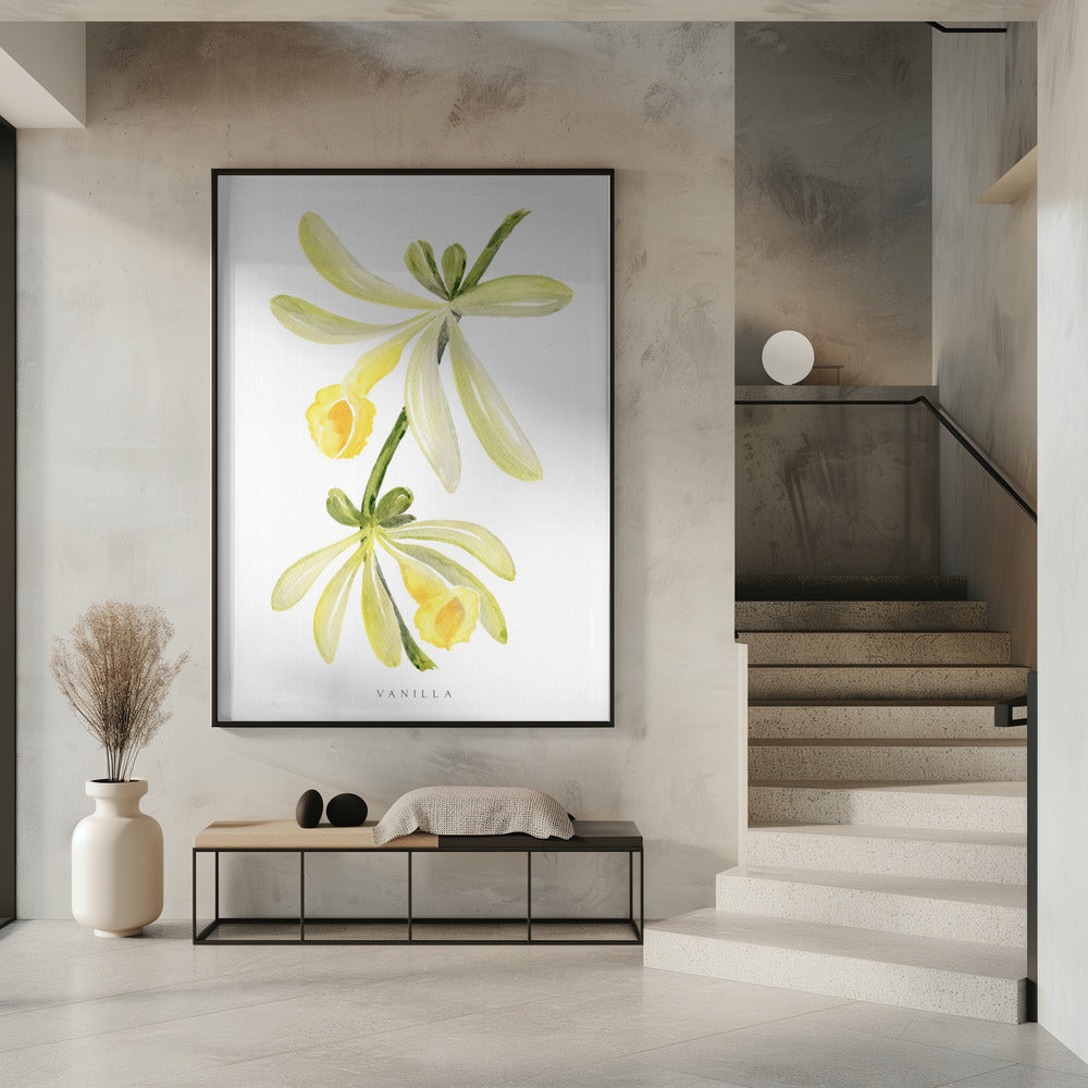 Watercolor vanilla orchid Poster