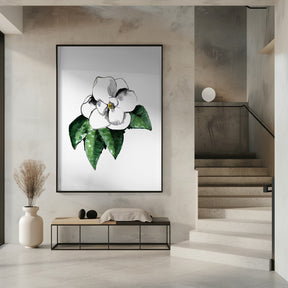 White magnolia Poster