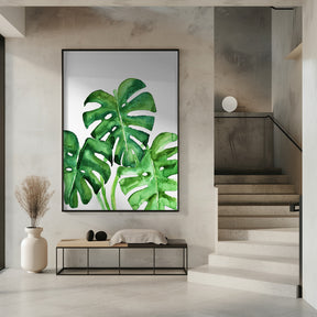 Monstera leaves in loose watercolor Poster