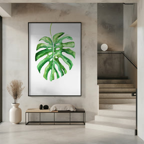 Monstera Leaf Poster