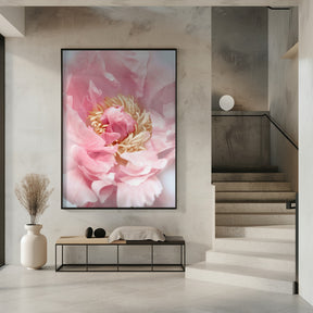 Blush peony I Poster