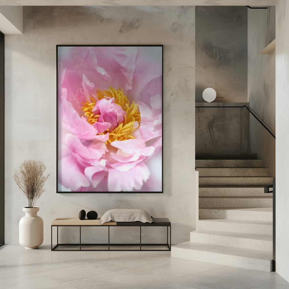 Pink peony I Poster