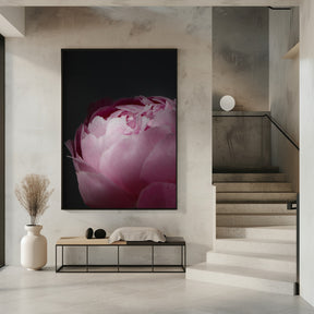 Moody pink peony II Poster