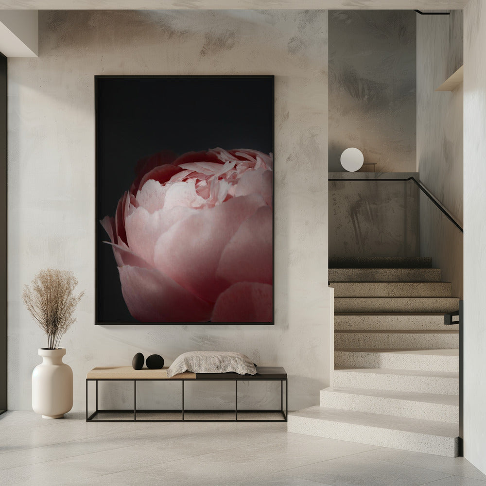 Moody blush peony II Poster