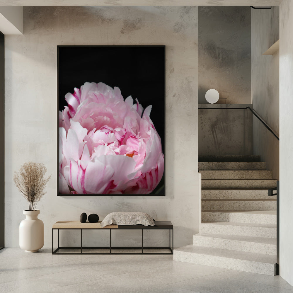 Pink peony VIII Poster