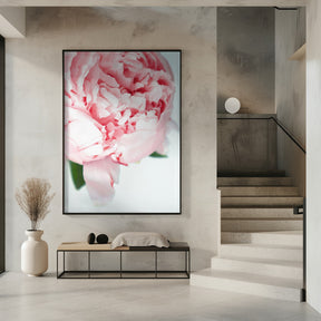 Blush peony VII Poster