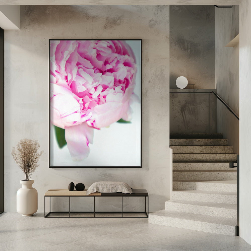 Pink peony VII Poster