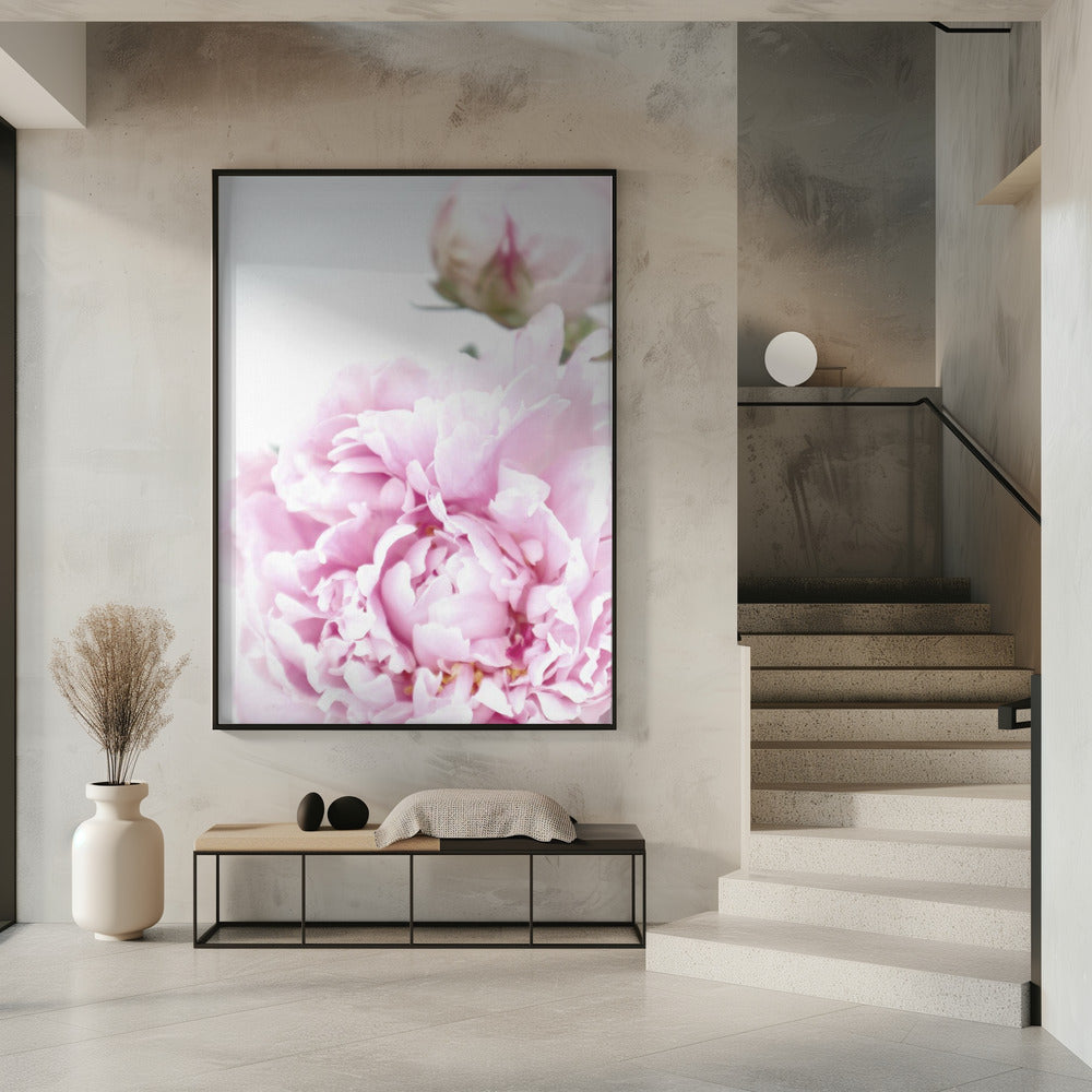 Subdued peony IX Poster