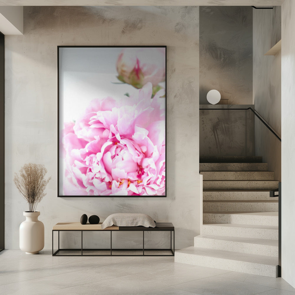 Pink peony IX Poster