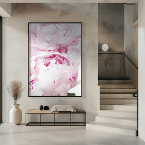 Subdued peony X Poster