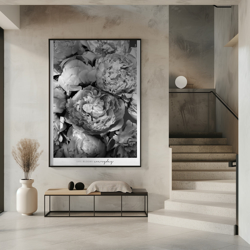 Life blooms everyday peonies bw Poster