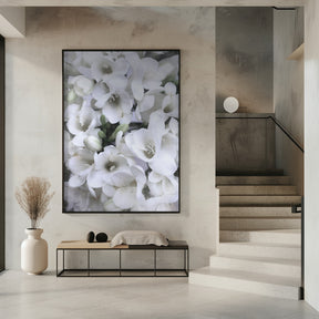 Distressed freesias V Poster