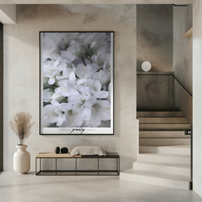 Distressed freesias III Poster