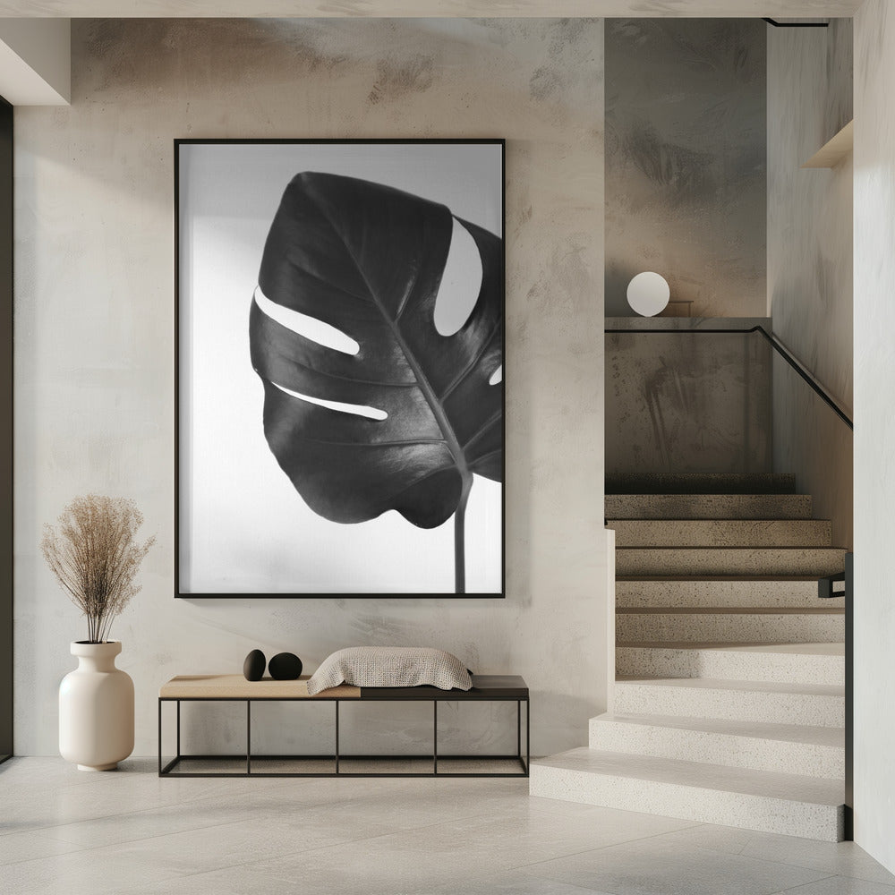 Gray monstera leaf Poster