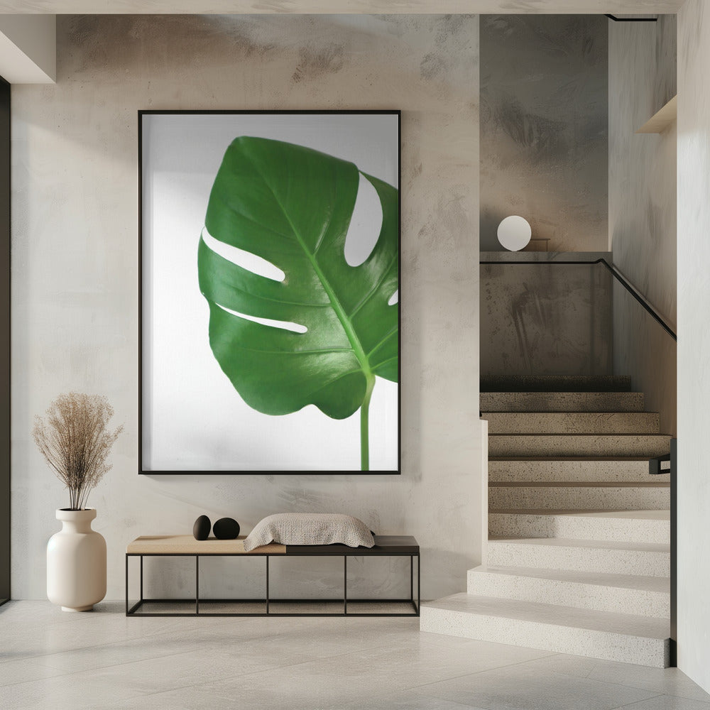 Bright green monstera leaf Poster