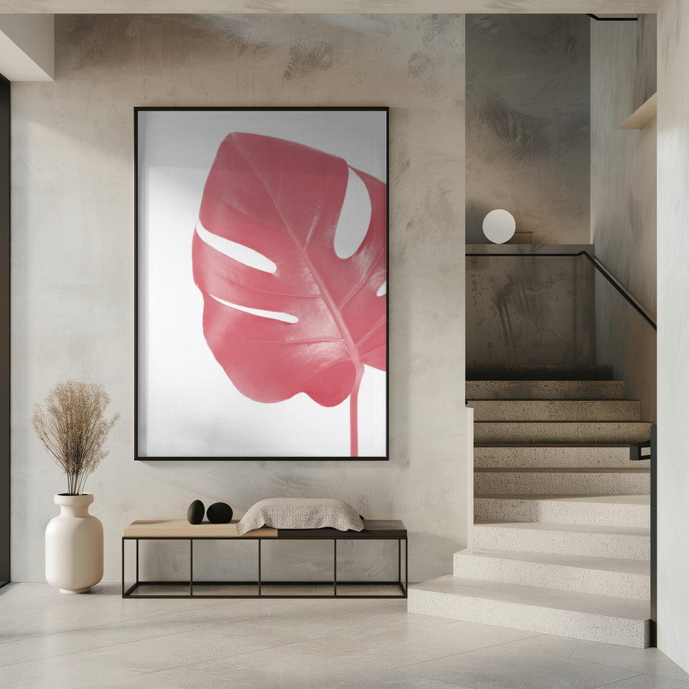 Pink monstera leaf Poster