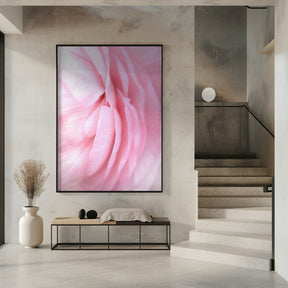 Soft pink petals Poster