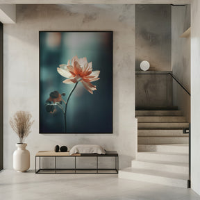 Coral Flowers At Night Poster