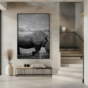 Black Rhino Poster