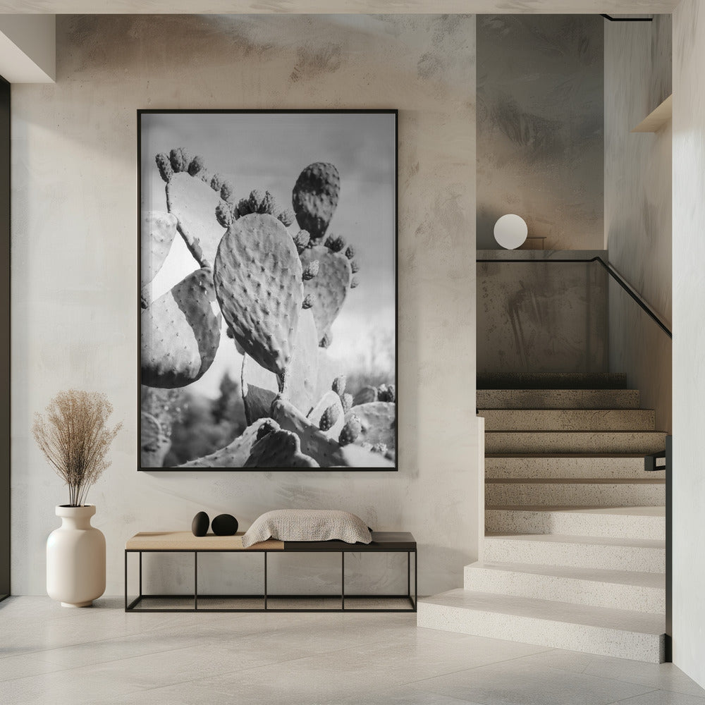 Cacti Cowboy No1 Poster