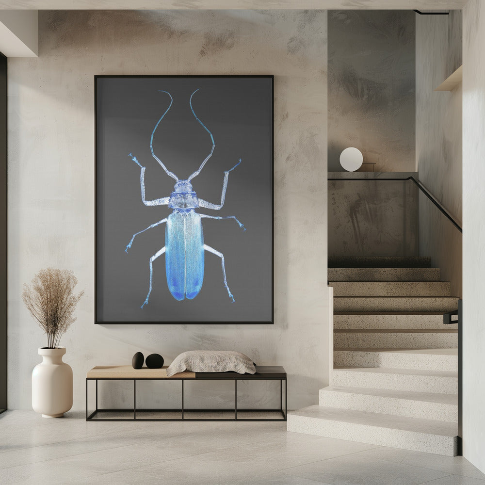 Insect Evolution Poster